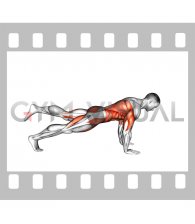 Single Leg Down to Upward Dog