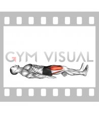 Lying Isometric Quad Hold (male)