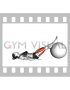 Lying Knee Flexion and Extension on Exercise Ball (female)