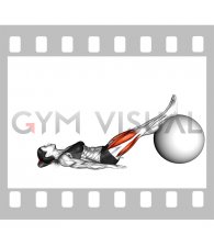 Lying Knee Flexion and Extension on Exercise Ball (female)