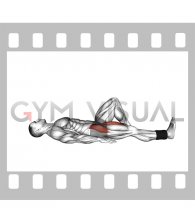 Weighted Lying Supine Straight Knee Raise (male)