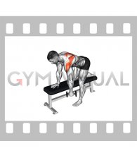 Weighted Dumbbell Shoulder Pendulum (male)