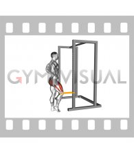 Resistance Band Standing Single Leg Knee Extension (male)