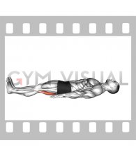 Lying Isometric Hamstring Bridge (male)