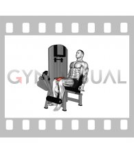 Lever Isometric Leg Extension (male)