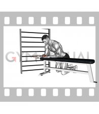 Resistance Band Wrist Flexion