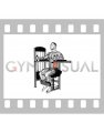 Lever Torso Rotation (male)