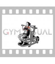 Lever Shoulder Press (plate loaded) (VERSION 3) (female)