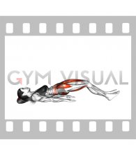 Lying Straight Leg Marches (female)