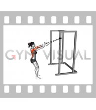Band Narrow Grip High Row