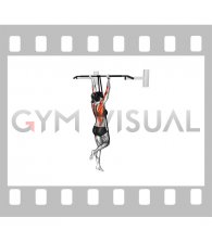 Band Assisted Chin-up (From Knee) (female)