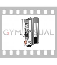 Cable Standing Calf Raise (male)