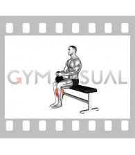 Kettlebell Sitting Calf Raise (male)