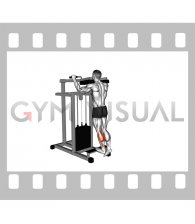 Lever Standing Single Leg Calf Raise