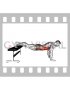 Plank with Feet Elevated (male)