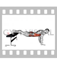 Plank with Feet Elevated (male)
