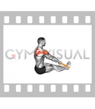 Resistance Band Seated Wide Row (male)