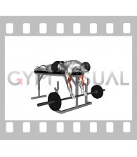 Barbell Lying Biceps Curl (male)