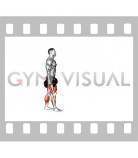 Dumbbell RDL Death March