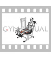 Lever Seated Leg Curl
