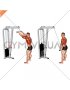 Cable Straight Arm Pulldown