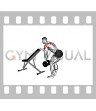 Dumbbell One Arm Reverse Fly (with support)