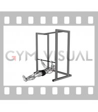 Inverted Row