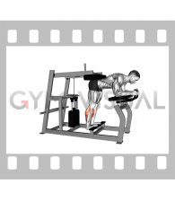Lever Donkey Calf Raise