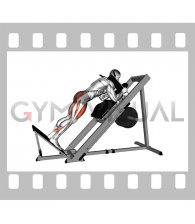 Sled Reverse Hack Squat