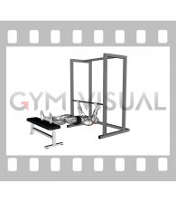 Inverted Row on Bench