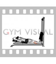 Sled Lying Calf Press