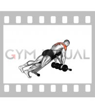 Dumbbell Incline Alternate Neutral Grip Reverse Fly