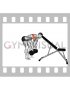 Dumbbell Neutral Grip Alternating Rear Lateral Raise (support head)