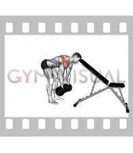 Dumbbell Neutral Grip Alternating Rear Lateral Raise (support head)