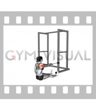 Band One Arm Seated Delt Row (female)