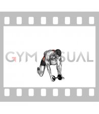 Dumbbell Half Kneeling Thor Lift (male)