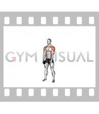 Dumbbell Standing Cross Clean (male)