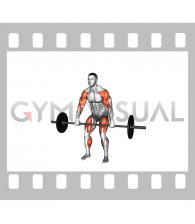 Barbell High Pull (male)
