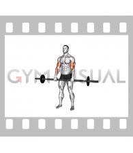 Barbell Fat Bar Reverse Curl (male)