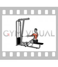 Cable Seated Single Arm Lats Focused Row