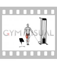 Cable Lateral Step-up (male)