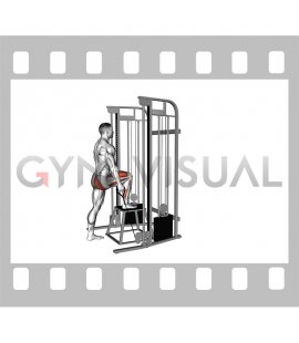 Cable Unilateral Step-up (male)