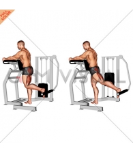 Lever Standing Hip Extension