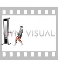 Cable Backward Walk (male)