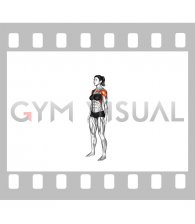 Standing Shoulder Flexion (female)
