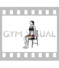 Resistance Band Seated Hip Flexion (female)