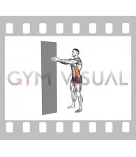 Standing Isometric Pallof Press Hold