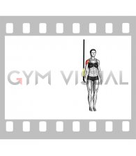 Suspender Assisted Shoulder Abduction Side Step (female)