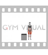 Lateral Box Jump (female)
