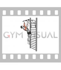 Sternum Pull-up (Gironda)
